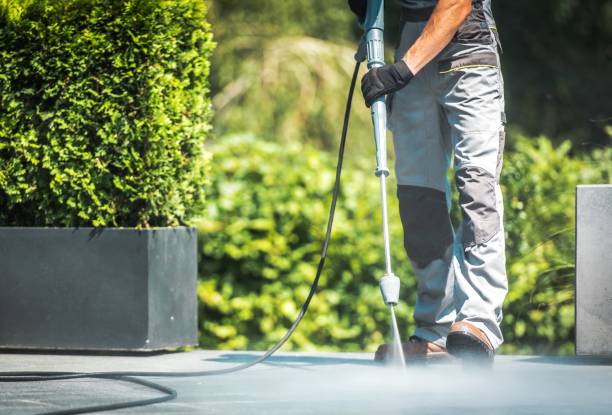 Best Dumpster Area Cleaning  in Travelers Rest, SC
