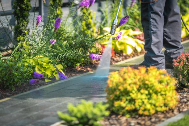 Best Winterizing Services  in Travelers Rest, SC